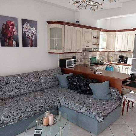 חאניה Elpida'S Cozy Home מראה חיצוני תמונה